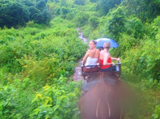 323043_10150356055990485_1926753517_o