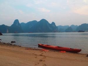 386558_10150431846045485_172146005_n