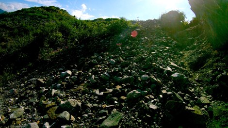 Mendenhall Glacier Hike